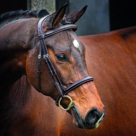 Shires Velociti Lusso Hunter Cavesson Bridle