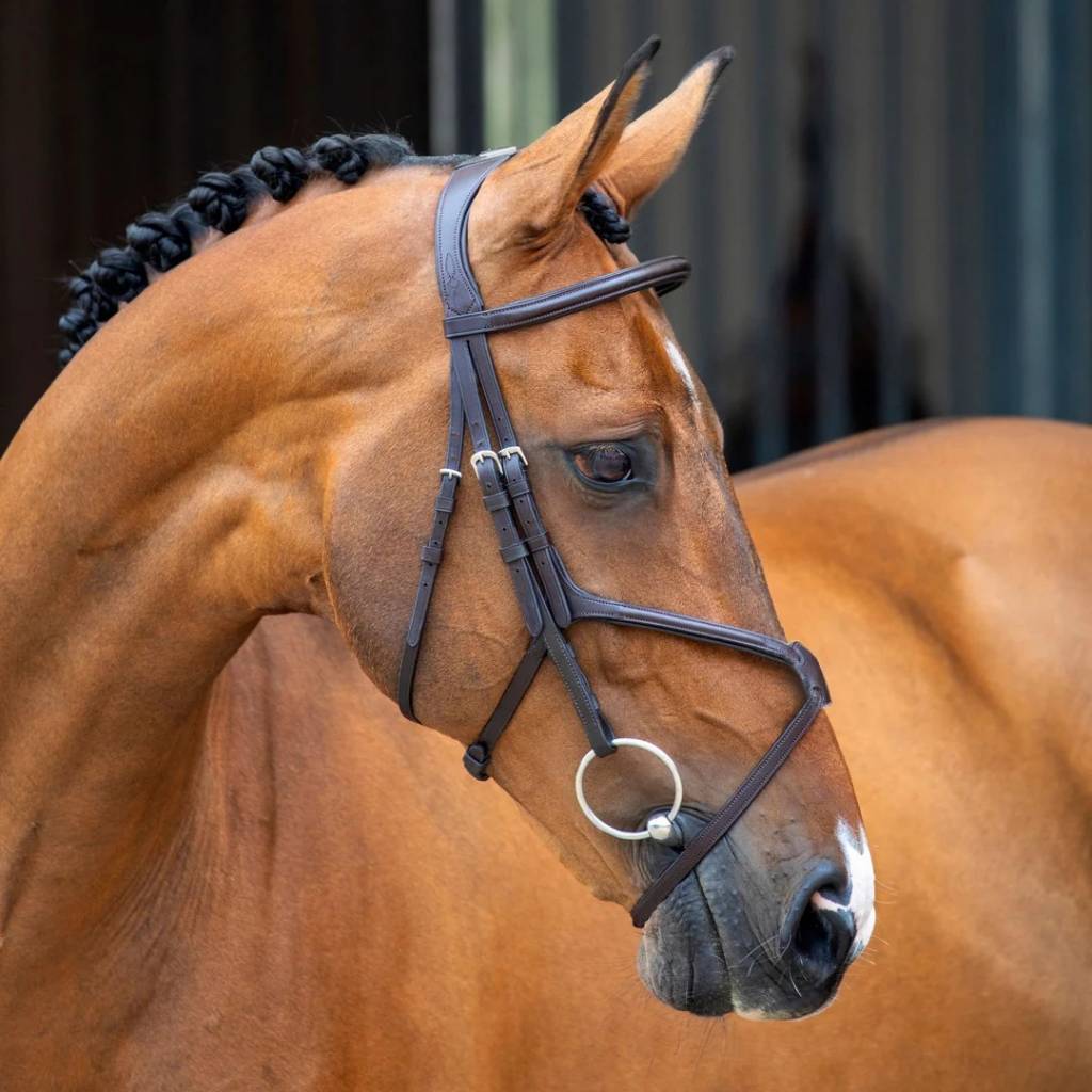 Shires Velociti Lusso Grackle Bridle