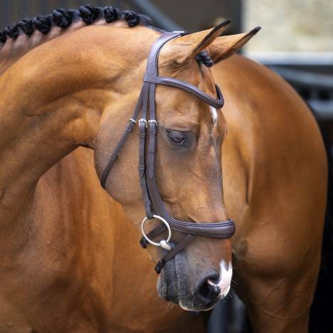 Shires Velociti Lusso Ergonomic Curved Flash Bridle