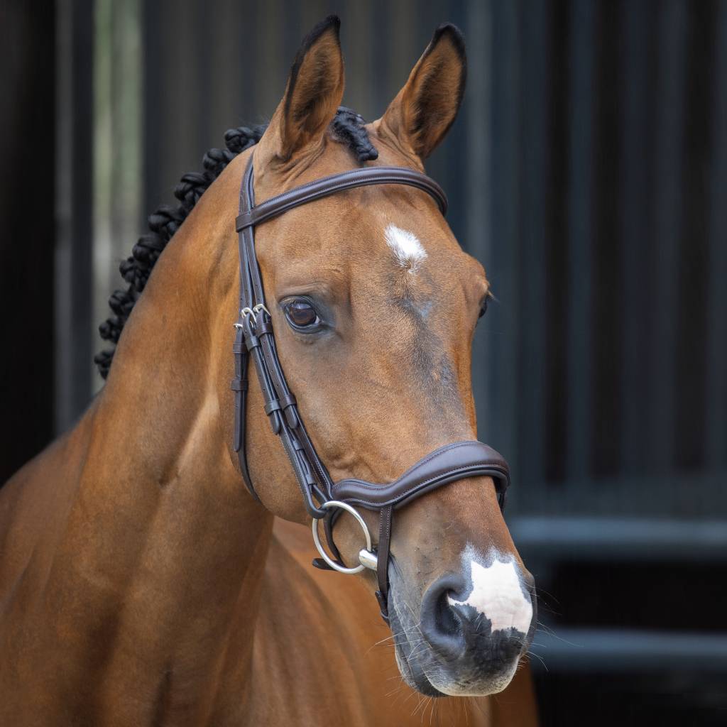 Shires Velociti Lusso Ergonomic Flash Bridle