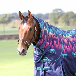 Shires Tempest Original Lite Neck Cover