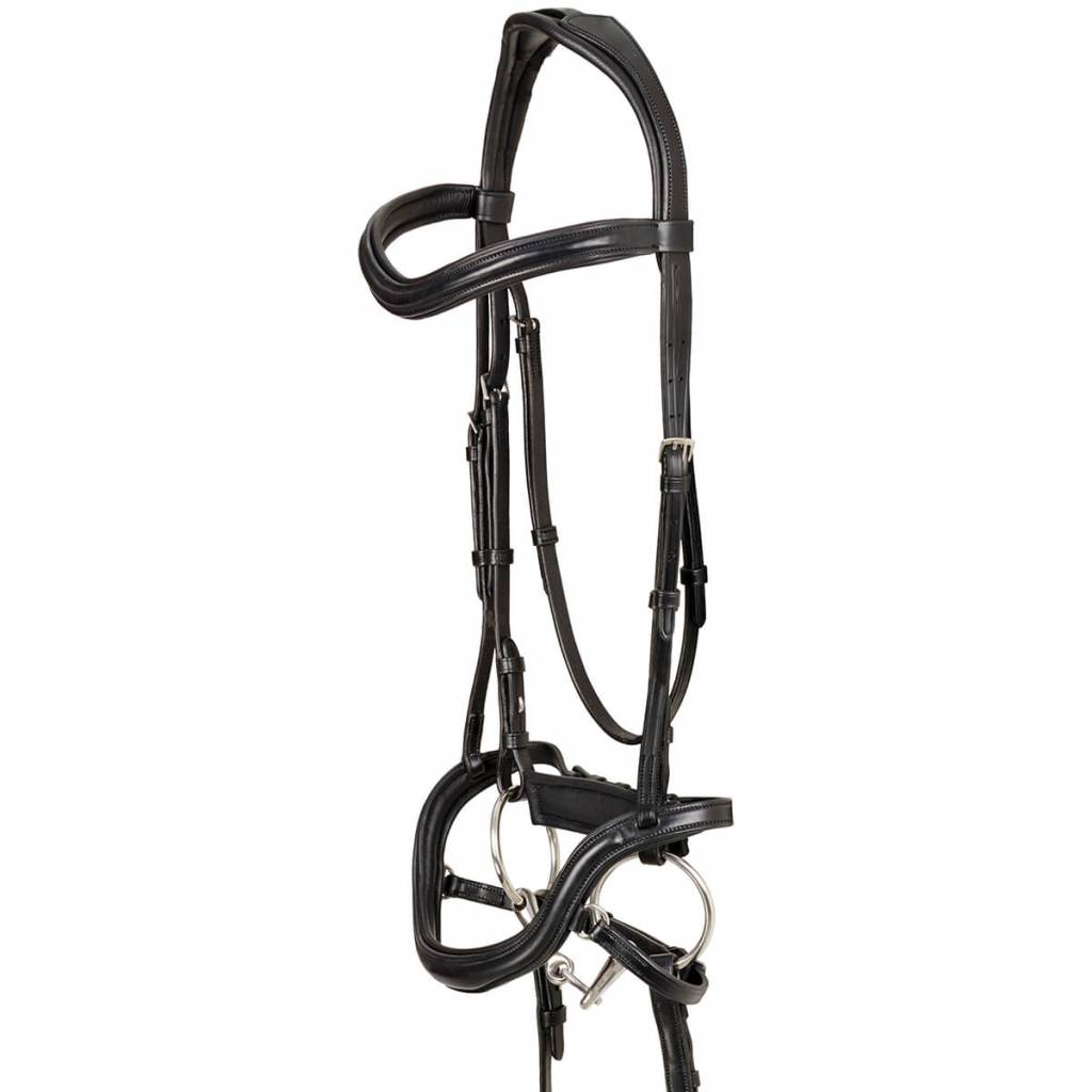 Equine Innovations Coburg Anatomic Bridle