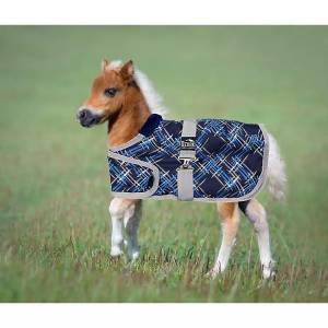 Ozark Mini Adjustable Foal Blanket