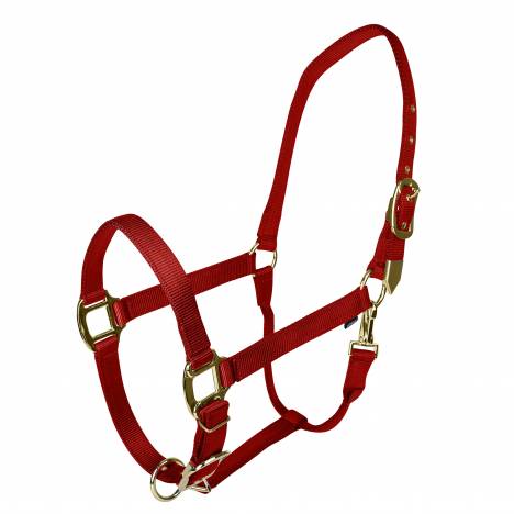 Gatsby Gold Adjustable Nylon Halter with Snap