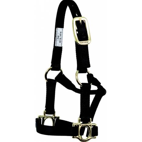 Mustang Traditional Nylon Pony Halter