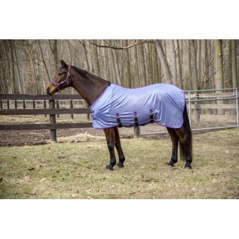 TuffRider Comfy Plus Standard Neck Fly Sheet