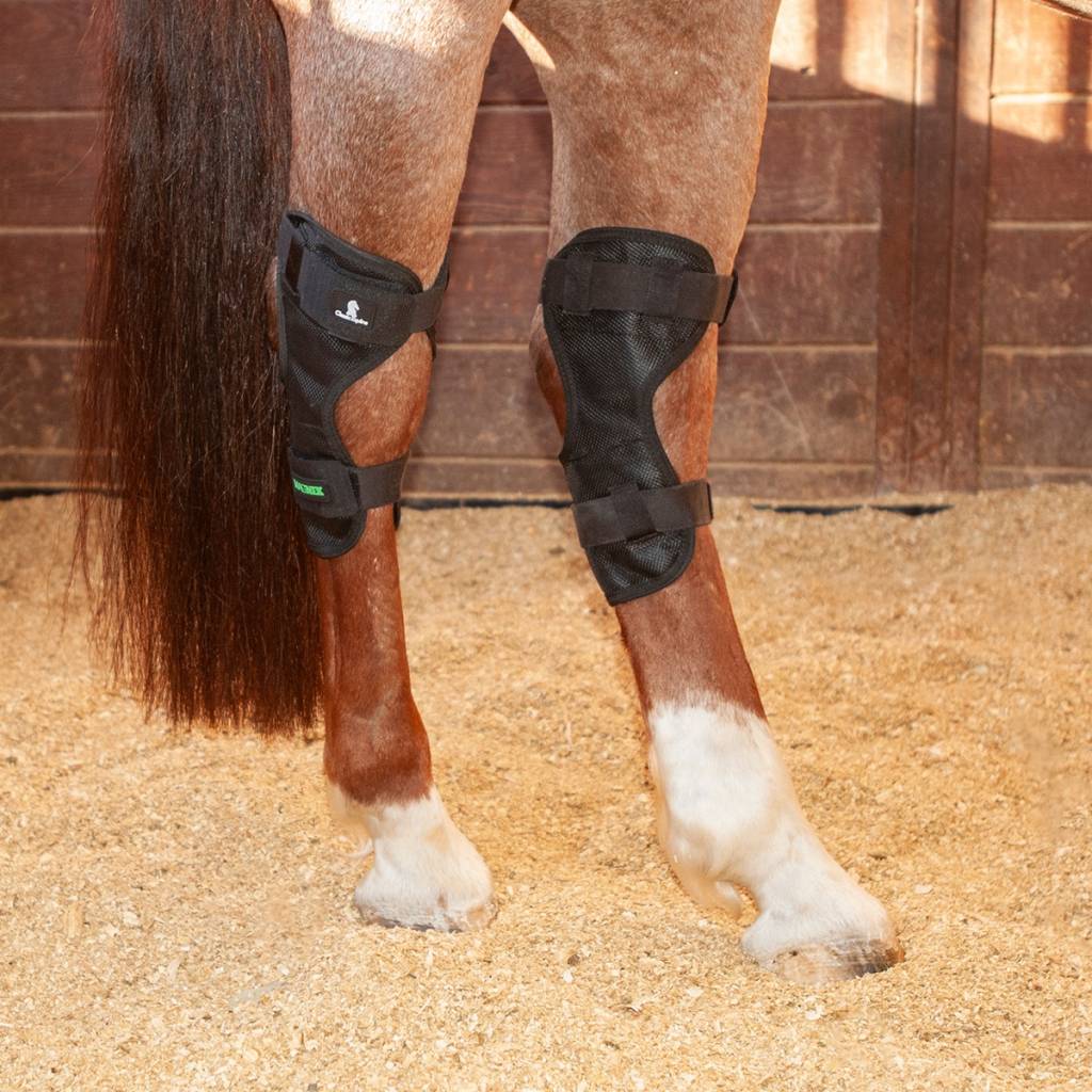 Classic Equine MagNTX Hock Wrap