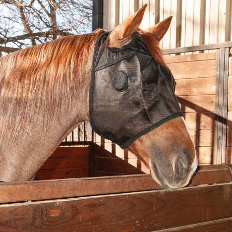 Classic Equine MagNTX Mask