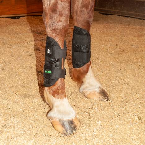 Classice Equine MagNTX Tendon Wrap