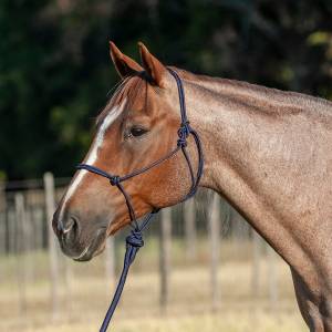 Classic Equine Econo Rope Halter and 8-foot Leadrope
