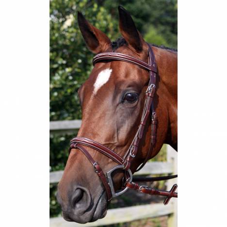 Nunn Finer Modena Bridle