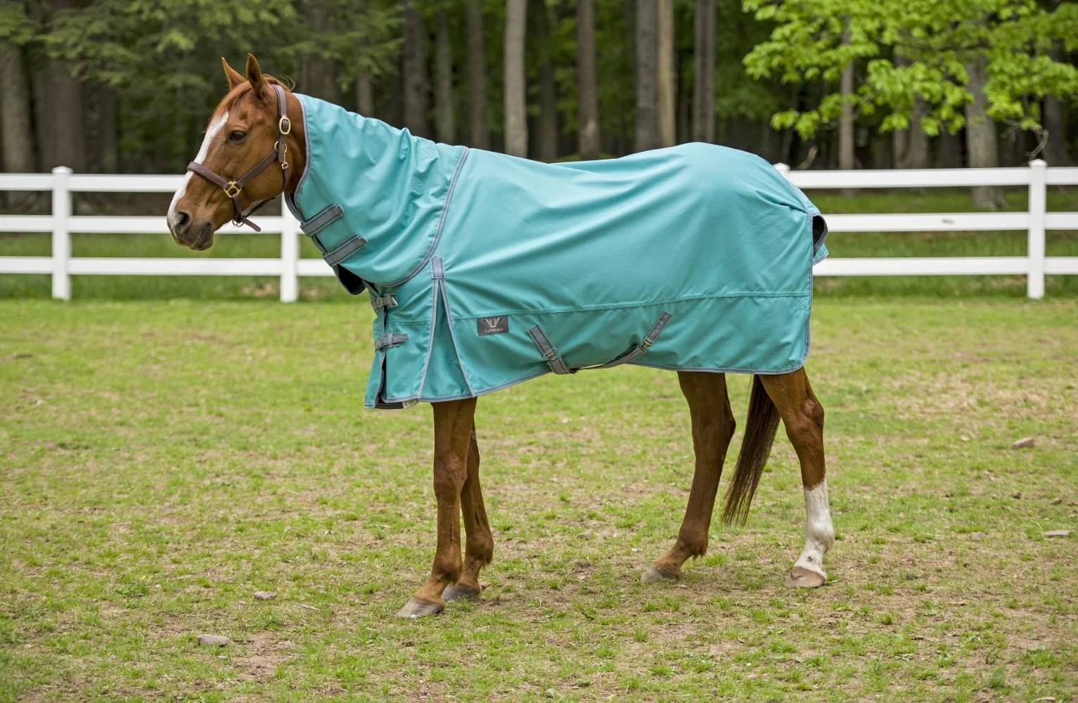 TuffRider Horse Blankets | EquestrianCollections