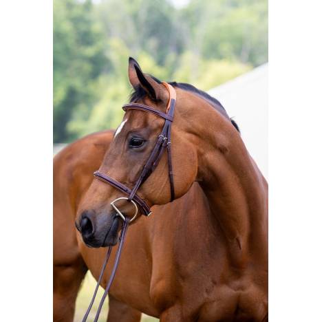 Vespucci Fancy Raised Hunter Bridle