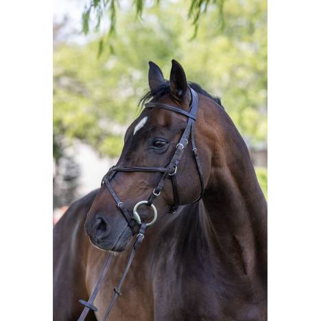 Vespucci Square Raised Figure-8 Bridle