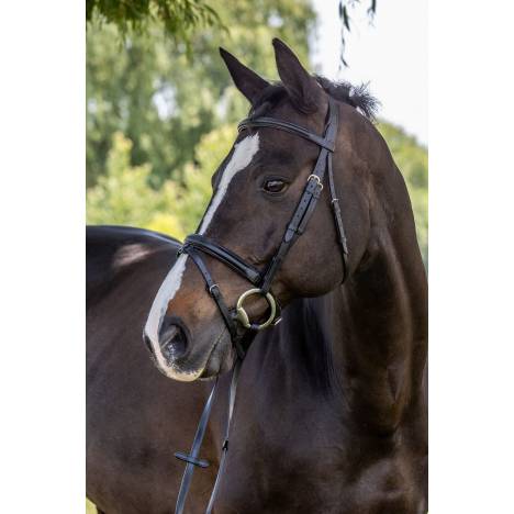 Vespucci Plain Raised Dressage Bridle