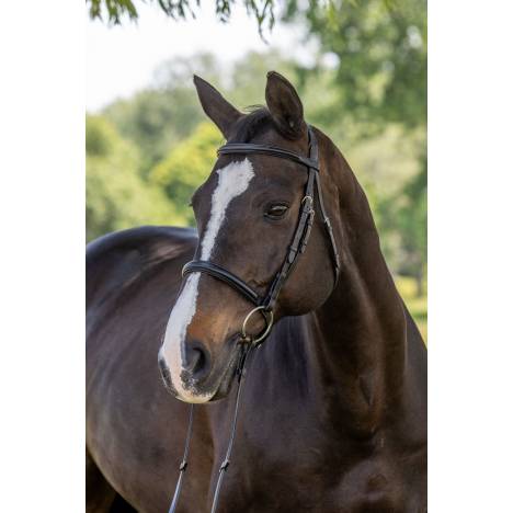 Vespucci Classic Dressage Bridle