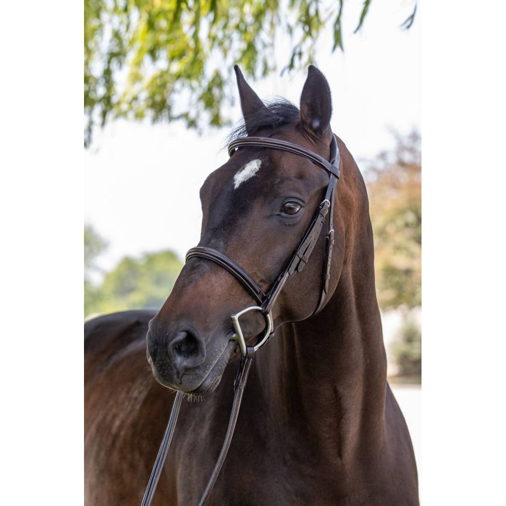 Vespucci Plain Raised Hunter Bridle