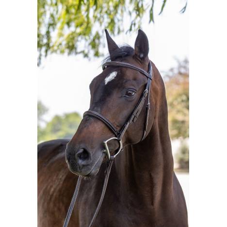 Vespucci Plain Raised Hunter Bridle