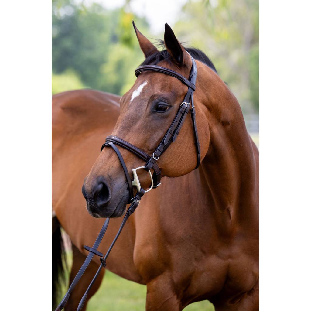 Vespucci Plain Raised Jump Bridle