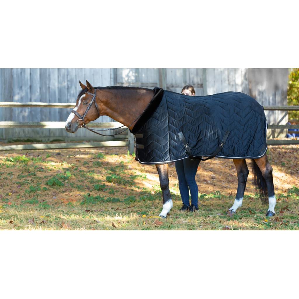 Equinavia Luksus Premium Cooler