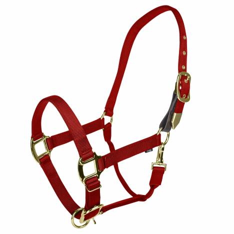 Gatsby Gold Adjustable Nylon Safety Breakaway Halter