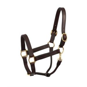 Perri's Heavyweight Track Halter with Snap