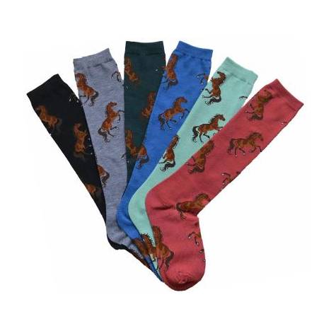 AWST Int'l Ladies "Lila" Bay Horse Knee Socks - 6 Pack