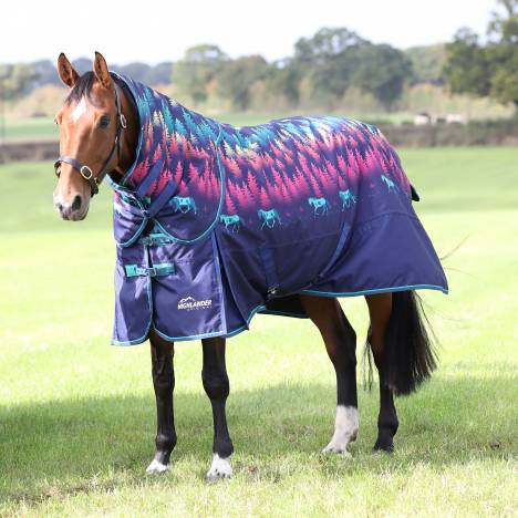 Shires Tempest Original 200 Turnout Blanket