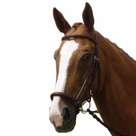 Vespucci Plain Raised Dropped Noseband