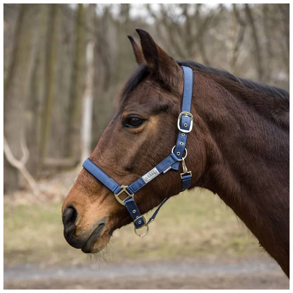 Lettia EquiFine Breakaway Halter