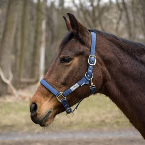 Lettia EquiFine Breakaway Halter