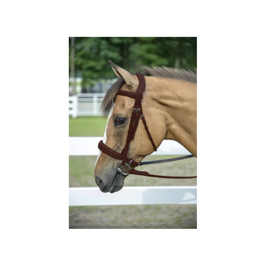 Henri de Rivel Pro Mono-Crown Padded Wide Noseband Bridle