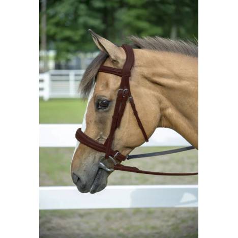 Henri de Rivel Pro Mono-Crown Padded Wide Noseband Bridle