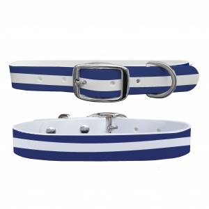 C4 Dog Collar Navy White Stripe Collar