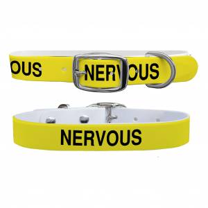 C4 Dog Collar Nervous Collar