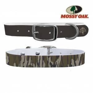 C4 Dog Collar Mossy Oak - Bottomland Heritage Solid Tip Classic Collar