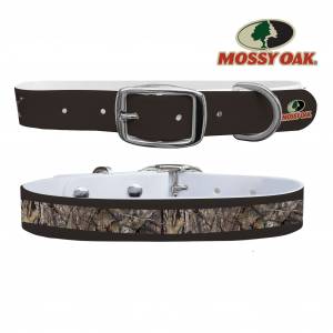 C4 Dog Collar Mossy Oak - Break Up Country Brown Tip Collar