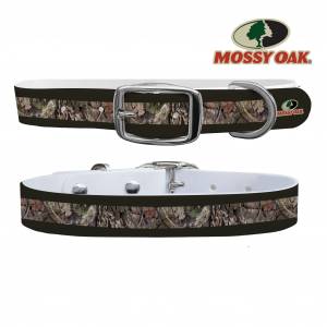 C4 Dog Collar Mossy Oak - Break Up Country Forest Green Stripes Collar