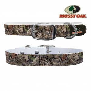 C4 Dog Collar Mossy Oak - Break Up Country Brand Collar