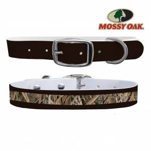 C4 Dog Collar Mossy Oak - Shadow Grass Blades Brown Tip Collar