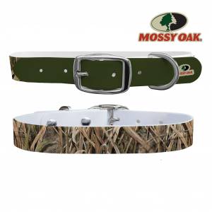 C4 Dog Collar Mossy Oak - Shadow Grass Blades Olive Tip Collar