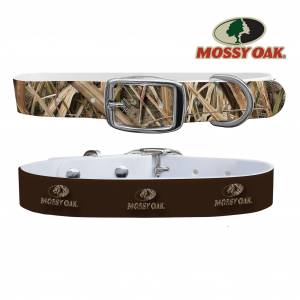 C4 Dog Collar Mossy Oak - Shadow Grass Blades Tip Collar