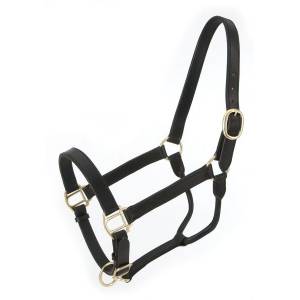 Royal King Leather Stable Halter