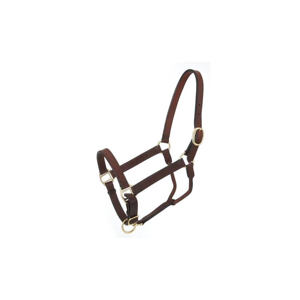 Royal King Leather Stable Halter