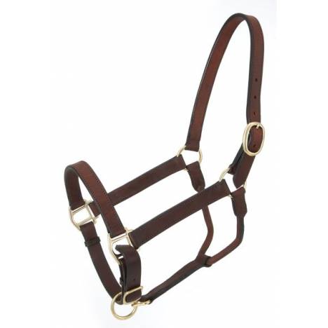 Royal King Leather Stable Halter