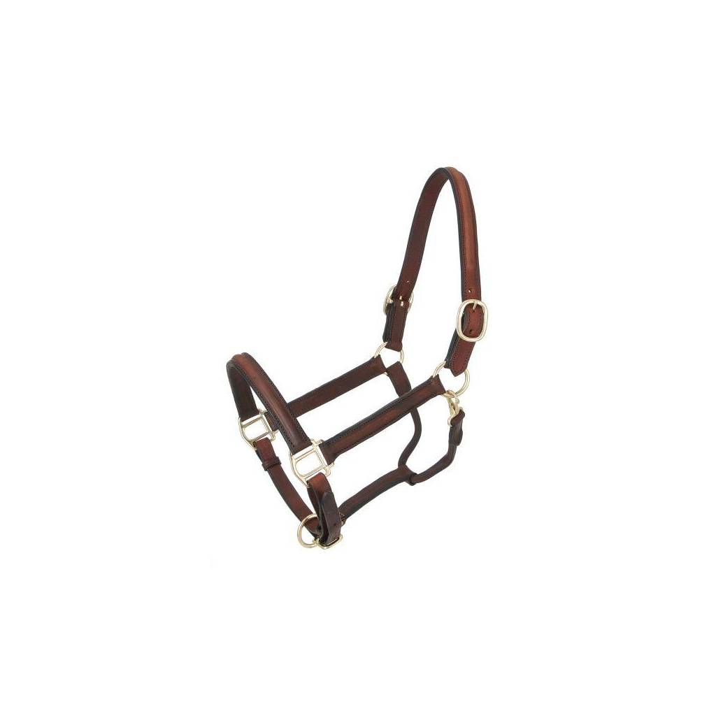 Royal King Raised Leather Halter