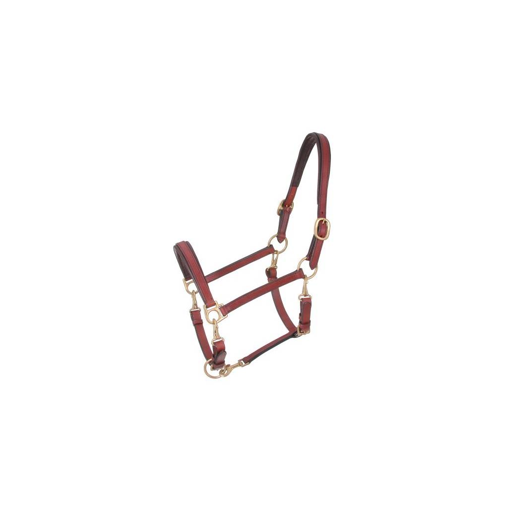 Royal King 4-Way Stable/Grooming Halter