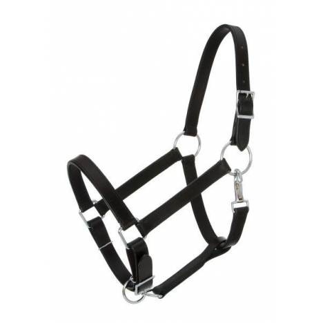 Royal King Draft Horse Stable Halter