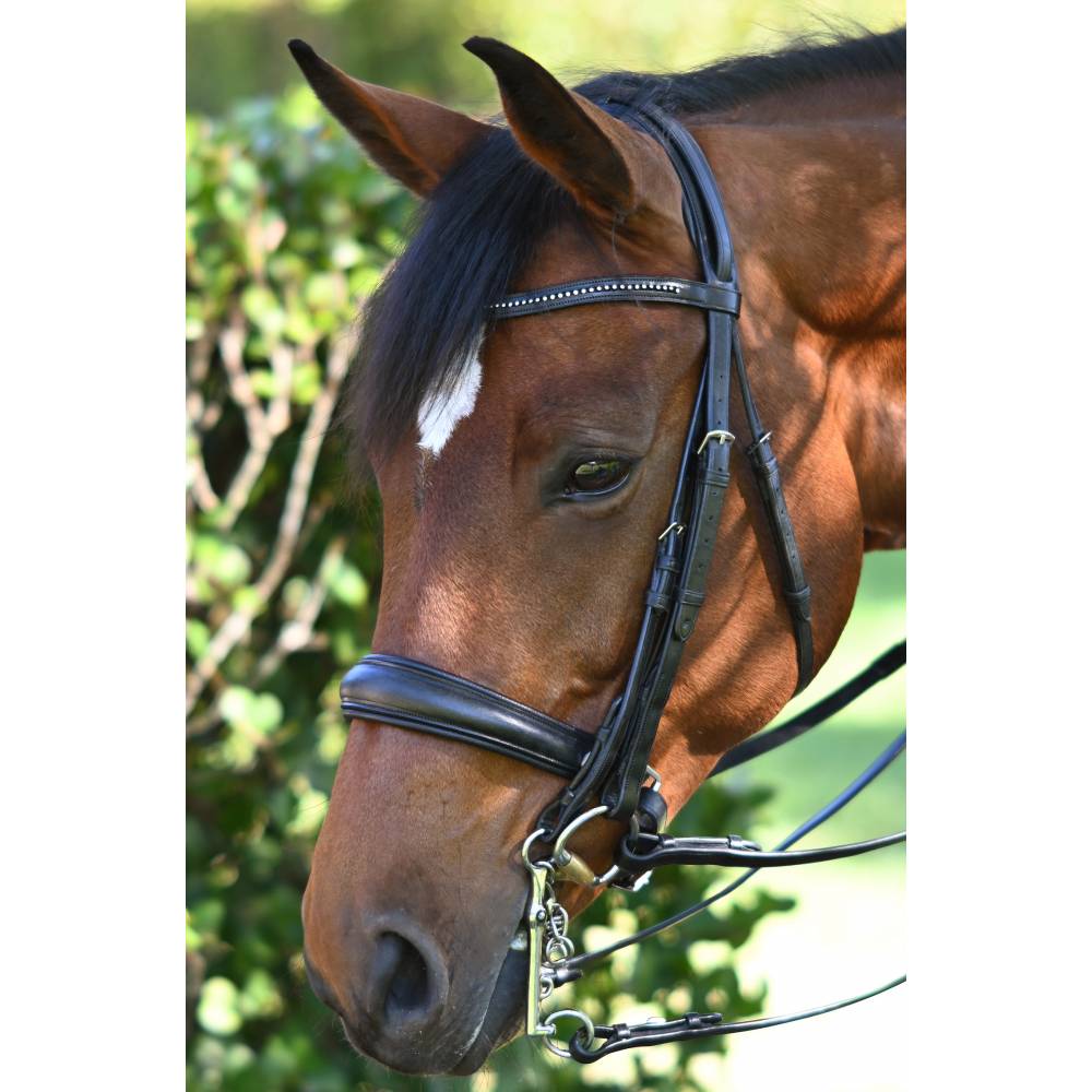 Ovation Europa Double Bridle EquestrianCollections