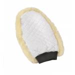 Ovation Horse Grooming Mitts & Sponges
